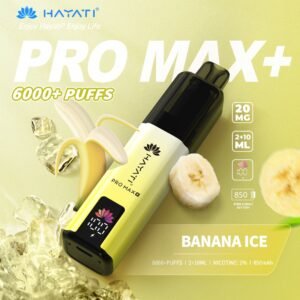 Hayati Pro Max+ 6000 Puffs