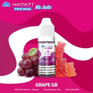 Hayati Pro Max Nic Salt – Grape GB